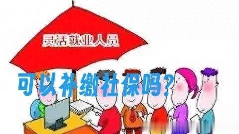 华丰金服 灵活就业人群可以选择按年来补缴社保费用吗? 逾期交滞纳金吗?
